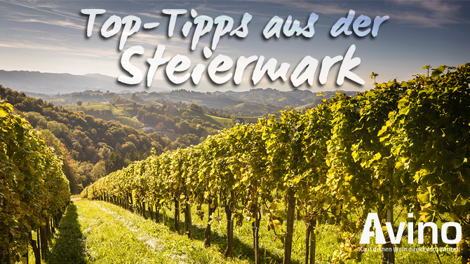 Steiermark_Wein_AVINO